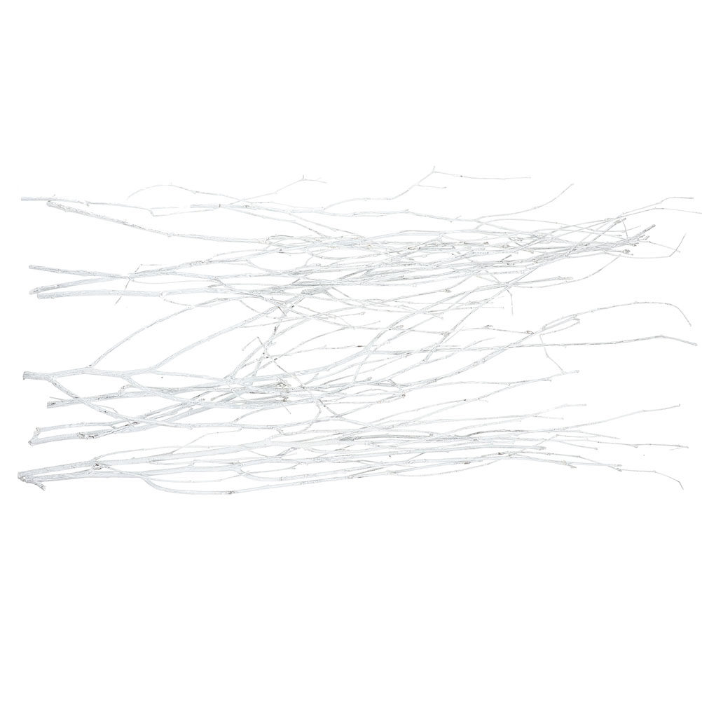 12Pcs Natural Small Twigs Drie - Home Office Interior Design 评论和价格
