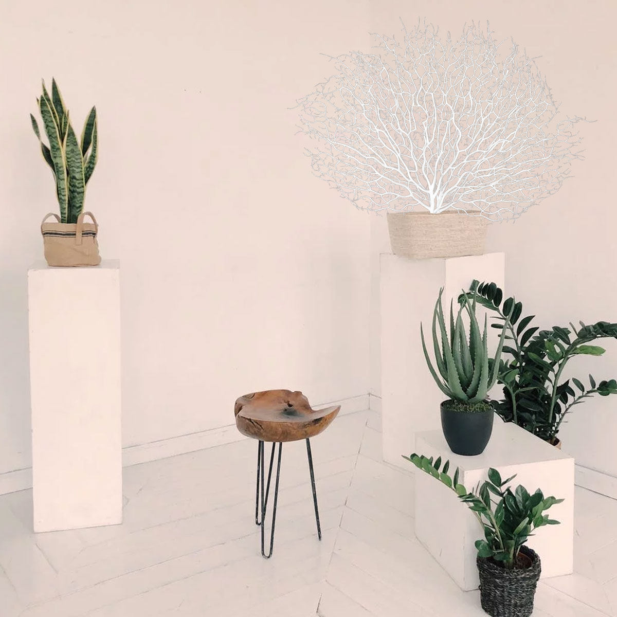 1Pcs Lifelike Plastic Coral Br - Home Office Interior Design 评论和价格