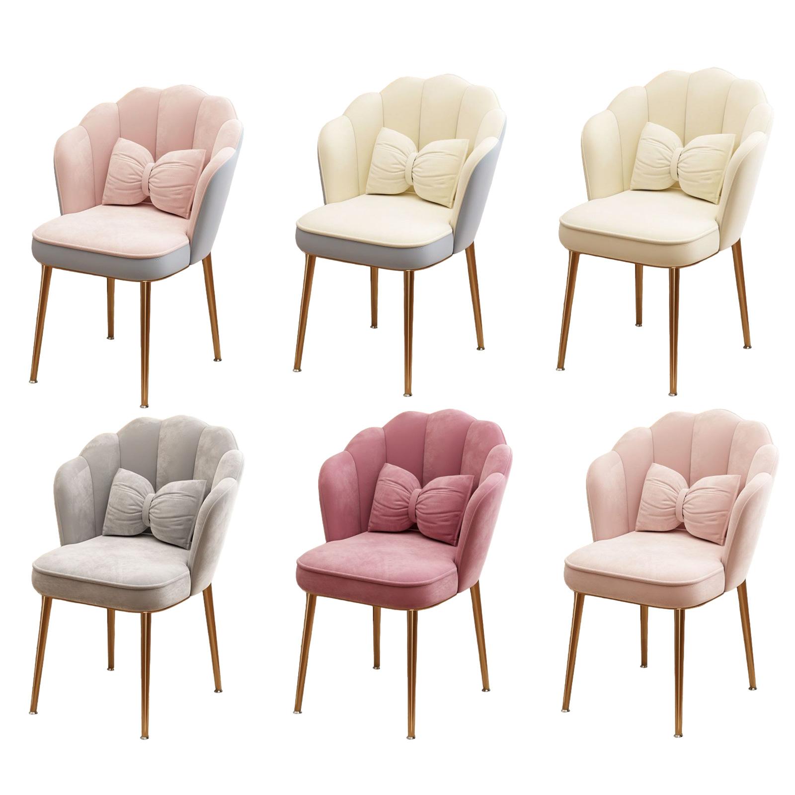 Contemporary Makeup Chair with - Home Office Guest Room 评论和价格