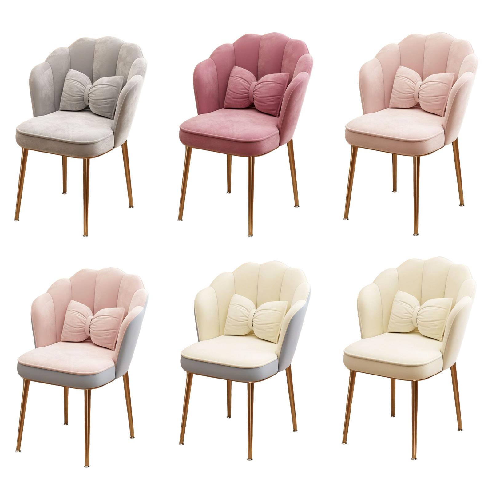 Contemporary Makeup Chair with - Home Office Guest Room 评论和价格